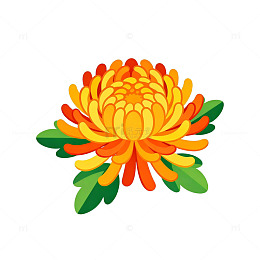 卡通菊花矢量插画