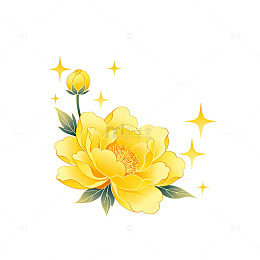 金色牡丹花卉插画素材