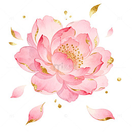 水彩粉色花朵插画设计素材