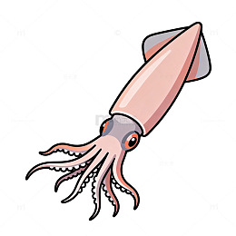卡通鱿鱼插画素材