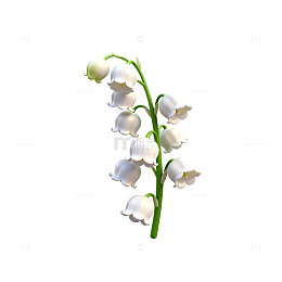 百合花矢量图设计元素