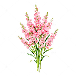 水彩粉花插画设计素材