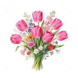 水彩郁金香花束插画