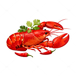 红龙虾美食插画