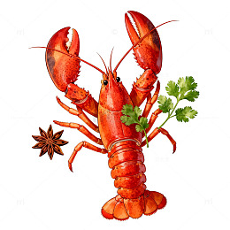 龙虾美食插画设计元素