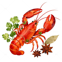 水彩龙虾美食插画设计素材