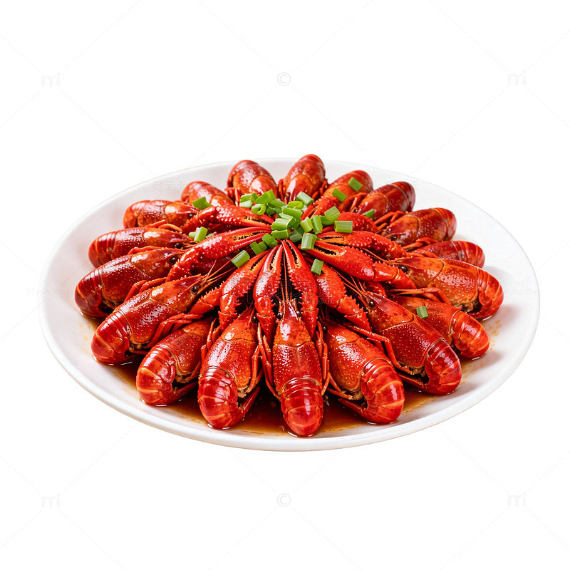 红烧小龙虾美食片