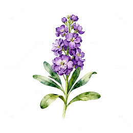 紫色花卉水彩画装饰画