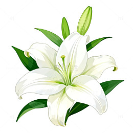 百合花插画设计元素