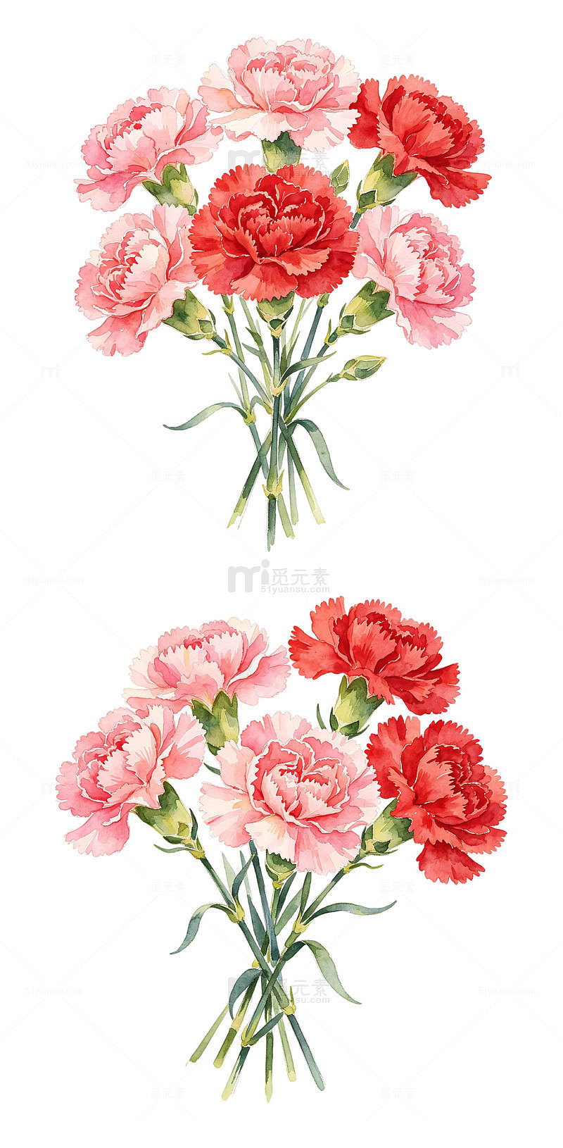 康乃馨鲜花卡通扁平水彩
