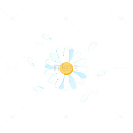 简约风雏菊插画背景素材