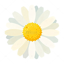 简约风菊花插画设计素材