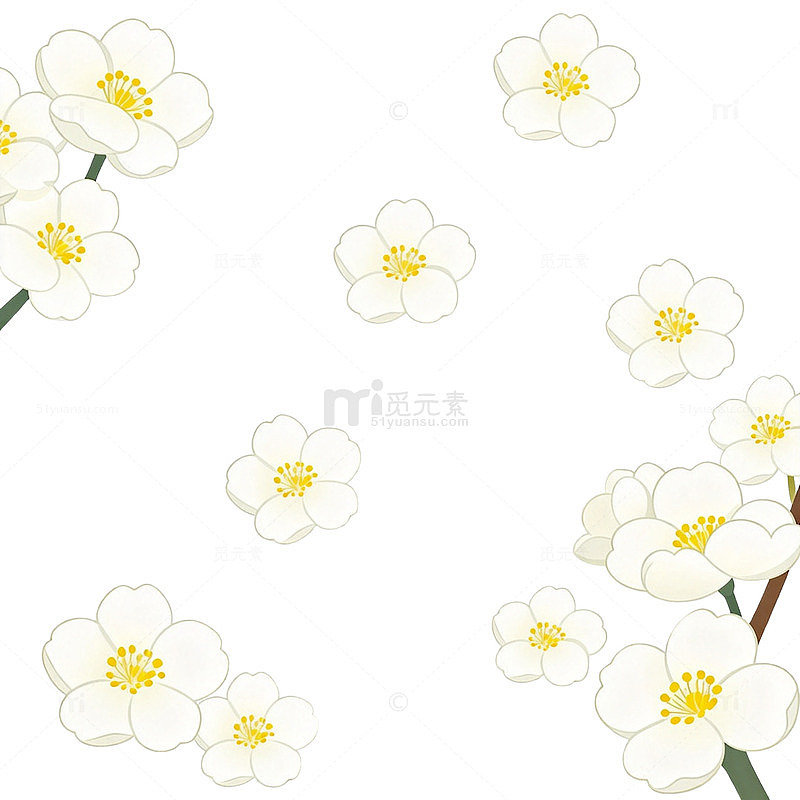 淡雅白花透明背景图案