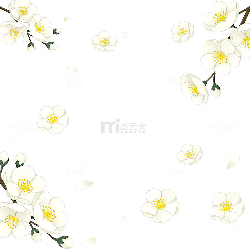 淡雅白花边框装饰图案