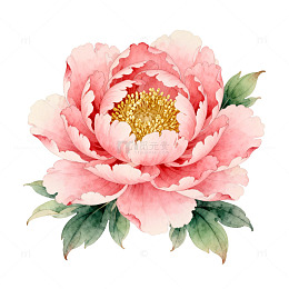水彩风格牡丹花画素材
