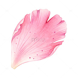 粉色花瓣水彩画装饰素材