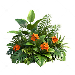 热带风情绿植盆栽设计素材