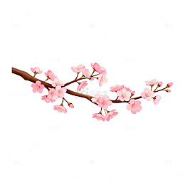 粉色樱花插画素材