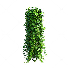 绿植藤蔓装饰3D模型
