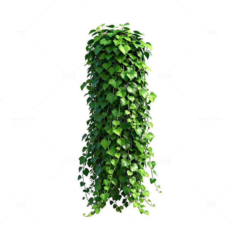绿植藤蔓装饰3D模型