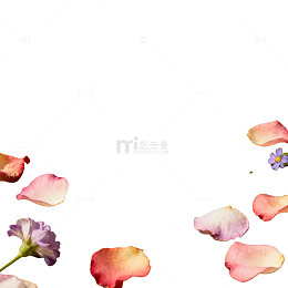 浪漫花瓣装饰地面创意布置