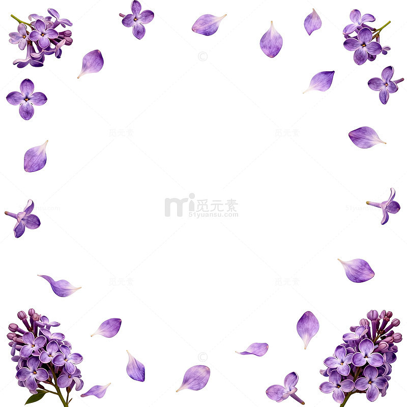 紫色花卉边框背景设计素材