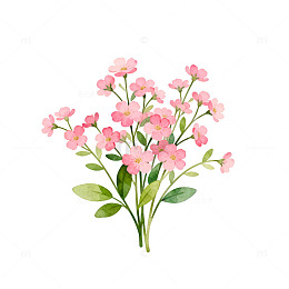 水彩粉色小花插画素材