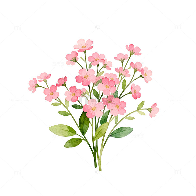 水彩粉色小花插画素材