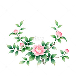 水彩山茶花卉装饰图案设计素材