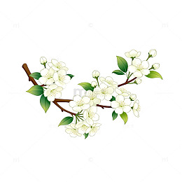清新春季花卉插图设计素材