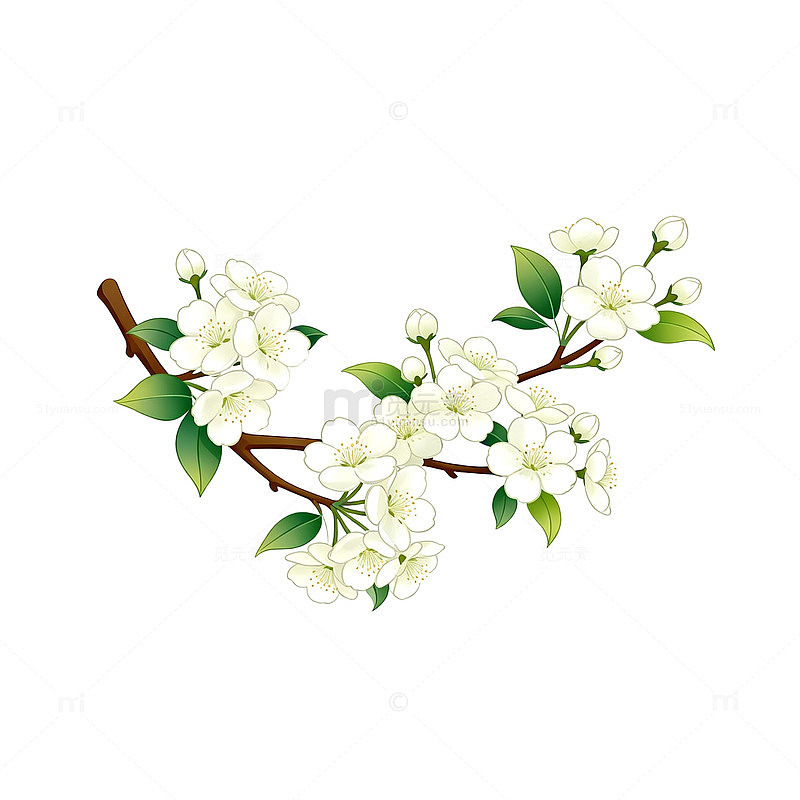 清新春季花卉插图设计素材