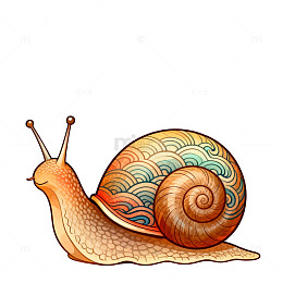 彩绘蜗牛插画素材