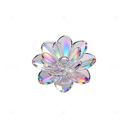 透明花形饰品
