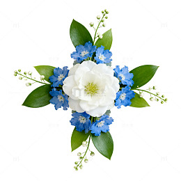 清新蓝白花束设计素材
