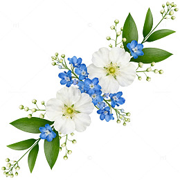 清新花卉装饰图案设计素材