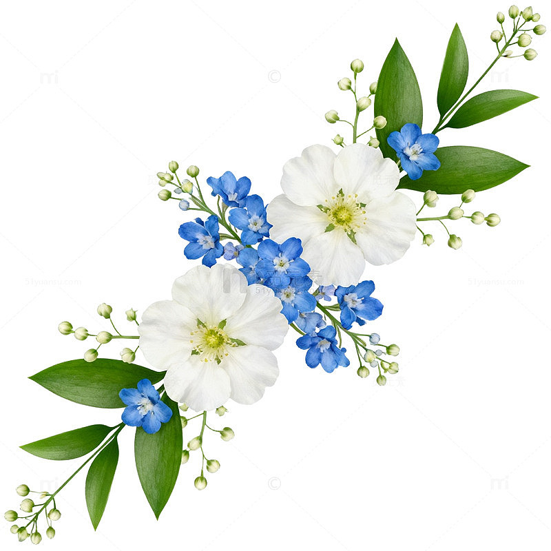清新花卉装饰图案设计素材