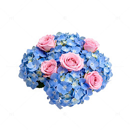 花卉组合绣球与玫瑰设计素材