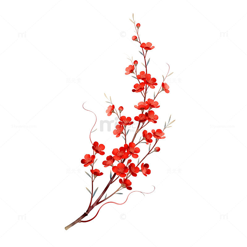 红色梅花插画装饰素材