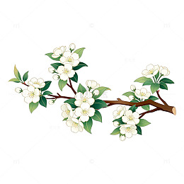 古风花卉插画设计元素