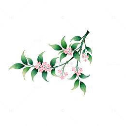 水彩花卉插画