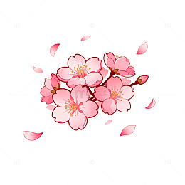 樱花盛开春天插画素材