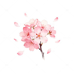 水彩樱花插画设计素材