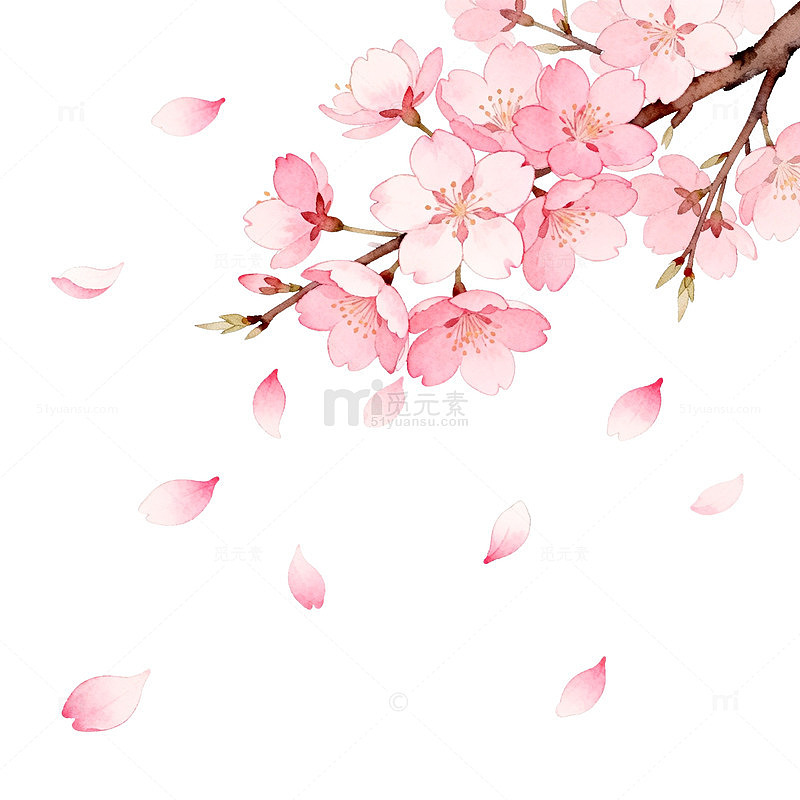水彩樱花盛开图