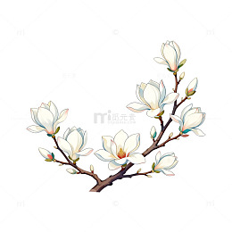 玉兰花枝手绘插画