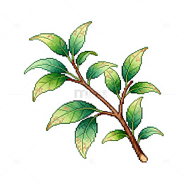 水彩插画植物枝叶