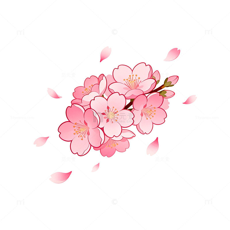 樱花盛开春意盎然矢量插画