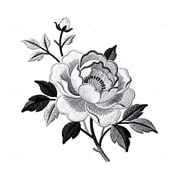 黑白花卉刺绣图案设计元素