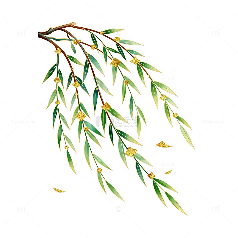 水彩柳枝春天插画素材