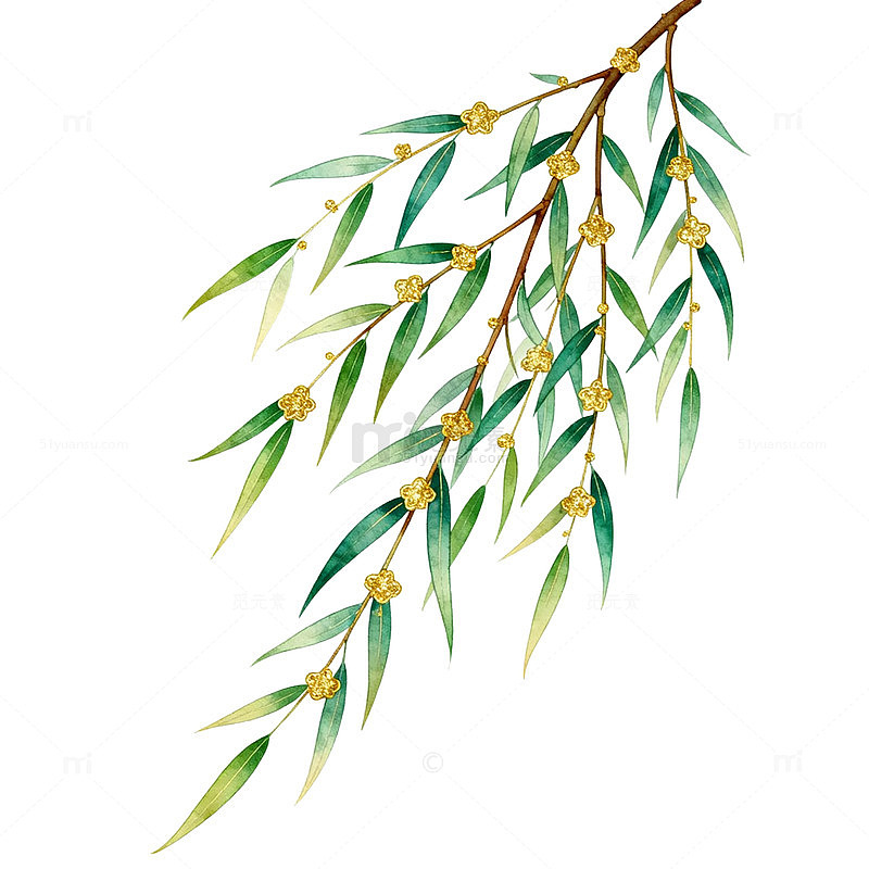 水彩柳枝花卉装饰图案