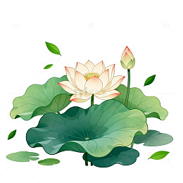 水墨荷花手绘插画